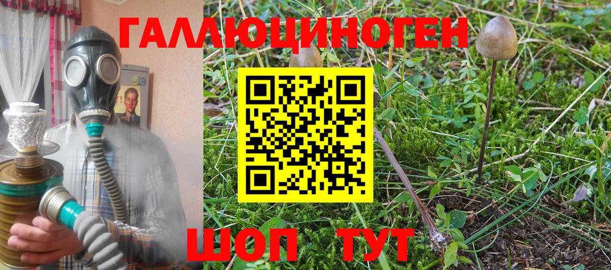 Елизово  Псилоцибиновые грибы Psilocybe  купить закладку  Вход с VPN  Псилоцибиновые грибы MAGIC MUSHROOMS 